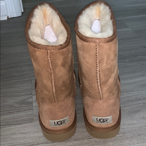 Classic Short Brown Uggs - Picture 4 of 7